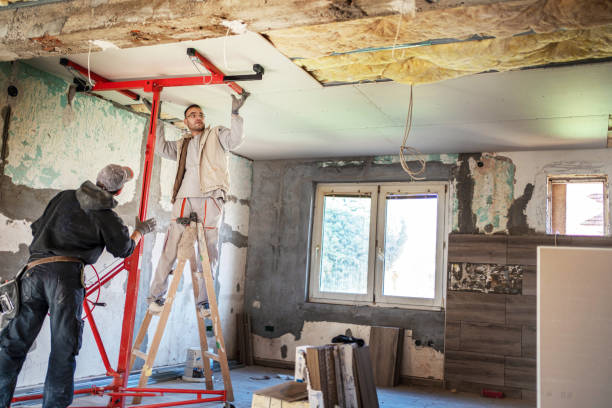 Best Residential Insulation in Rio Rico, AZ