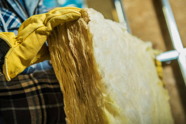 Types of Insulation We Offer in Rio Rico, AZ