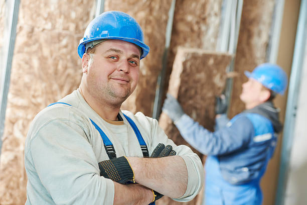 Best Cellulose Insulation in Rio Rico, AZ